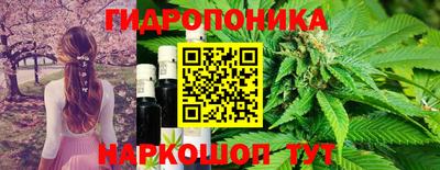 ГАЛЛЮЦИНОГЕННЫЕ ГРИБЫ Лесосибирск