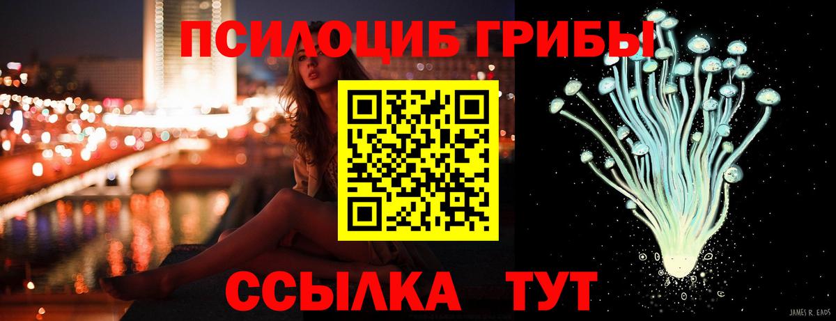 Калач-на-Дону  Псилоцибиновые грибы мицелий  Вход с VPN  Псилоцибиновые грибы прущие грибы 
